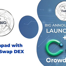 Exciting PARTNERSHIP Update: TMN Global + CrowdSwap Launchpad