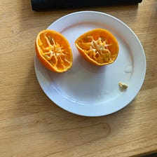 My Last Tallahassee Orange