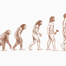 evolution as a mental model