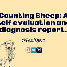 Counting Sheep: A self evaluation and diagnosis report.