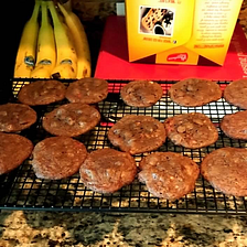 Double Chocolate Chip Cookies with Peppermint — International Cookie