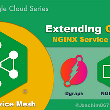 GKE with NGINX Service Mesh 1