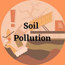 Soil pollution: Are you looking for a soil pollution essay?