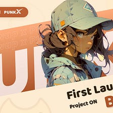 Introducing the First Launchpad Project on BASE — Punk X