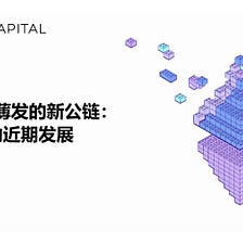 LD Capital: 厚积薄发的新公链：Sui的近期发展