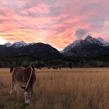Top 10 fall adventures in Jackson Hole — work-day edition