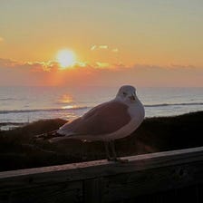 OBX Won’t Tell Tall Tales