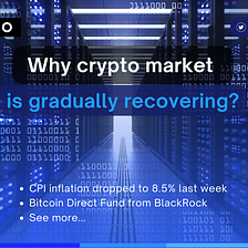 Why Crypto Market Is Gradually Recovering?