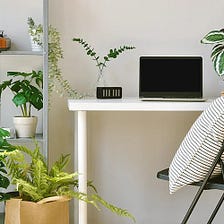 Artificial Office Plants and Reasons to Have Them in Office