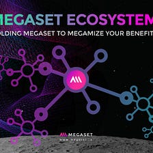 What Drives The Success of MEGASET?
