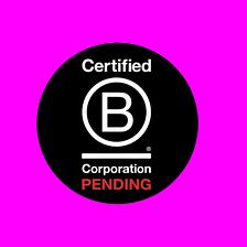 Making the working world work for everyone — cementing our social impact as a B Corp organisation