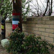 Do Trees Really Need to Wear Sweaters?