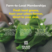 Farm To Local by Square Roots — a better way to snack at work.