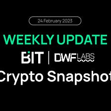 Weekly update: Crypto Snapshot