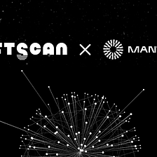 NFTScan Now Supports Mantle Network for Both NFTScan Explorer and NFTScan API