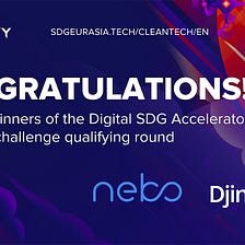 Meet the winners of the Digital SDG Accelerator cleantech challenge qualifying round