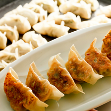 Quick and Easy Fried and Steamed Dumplings!