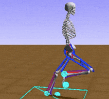 Learning to walk with evolutionary algorithms applied to a bio-mechanical model