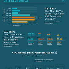 2017 SaaS Survey Infographic