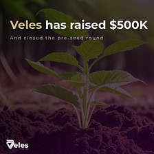 Veles raised $500k