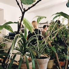European coffee shops that nailed the indoor plant brief