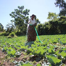 Building Community Resilience to the Effects of Climate Change