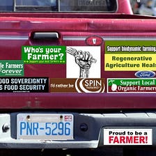 How Do You Identify?