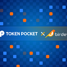 Birdeye and TokenPocket Partnership Announcement