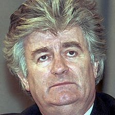 Capturing Karadzic