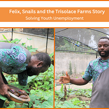 Felix, Snails and the Trisolace Farms Story: Solving Youth Unemployment