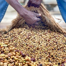 Building a Thriving Future for Haitian Coffee