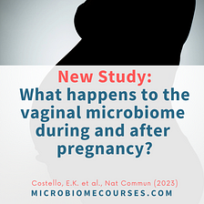 New Study: What happens to the vaginal microbiome during and after pregnancy?