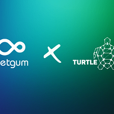 Sweetgum Labs Partners With Turtle United NFT