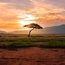How Africa’s Climate Bakes its Ethnic Divisions
