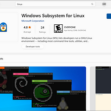 Windows 11 as the WM for Linux