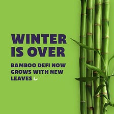 Winter is over. Bamboo DeFi now grows with new leaves