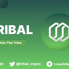 Tribal — an excellent solution for SMBs development and growth