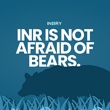 Вы боитесь медведей? INR Нет!