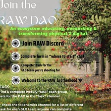 Simple Saturday: Joining the RAW DAO