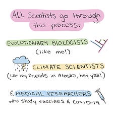 A Visual Guide to the Scientific Publishing Process