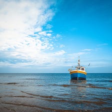 Digital tools can make Mexican fisheries more sustainable — and profitable