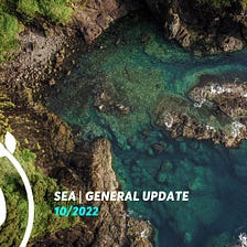 SEA: General Update