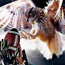 Superb Owl — The Secret American History ESPN Doesn’t Want You To Know