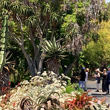 San Deigo Botanic Garden Offers Beautiful Gardens and Creative Classes