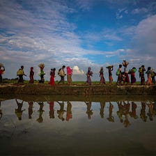Still We Rise: The Resilience of Refugees