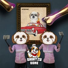 What is Shihtzu Bone, and Why should Everyone Grab it before it’s too late?