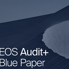 Audit+ Blue Paper Synopsis