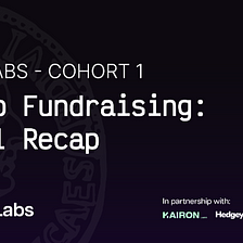 Denarii Labs Cohort 1 — Fundraising: Week 11 Recap