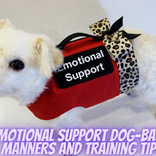 An Emotional Support Dog Guide To Basic Manners And Training Tips