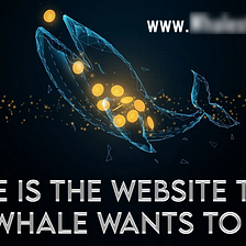 Here is the website that the Whale wants to hide!
